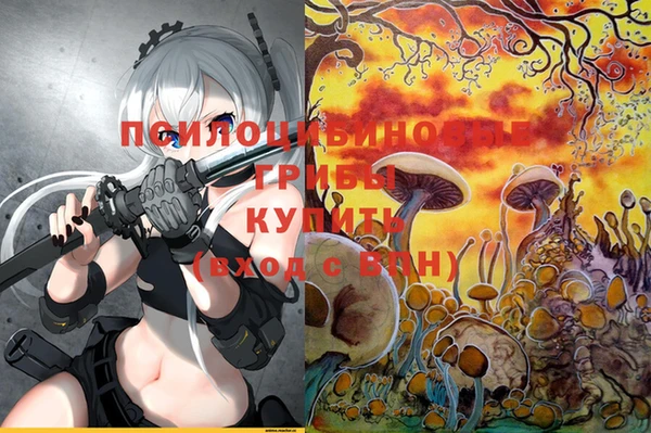 мескалин Покров