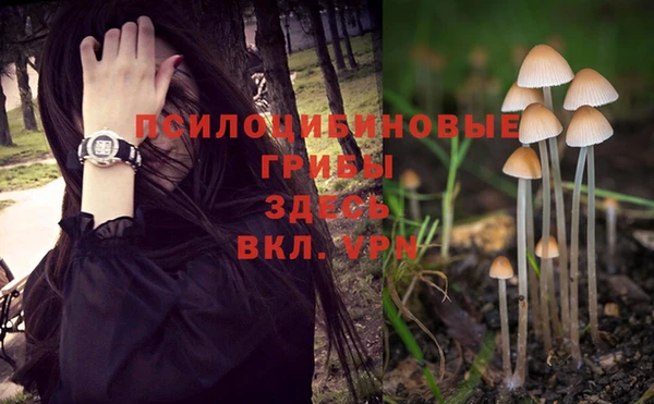 гидра Пересвет