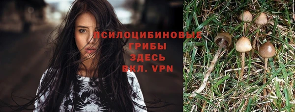 гидра Пересвет