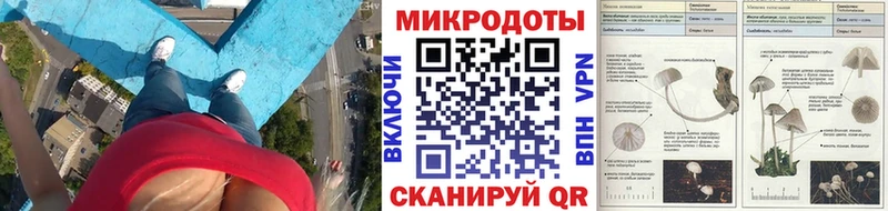 Галлюциногенные грибы Psilocybine cubensis  Тихорецк 